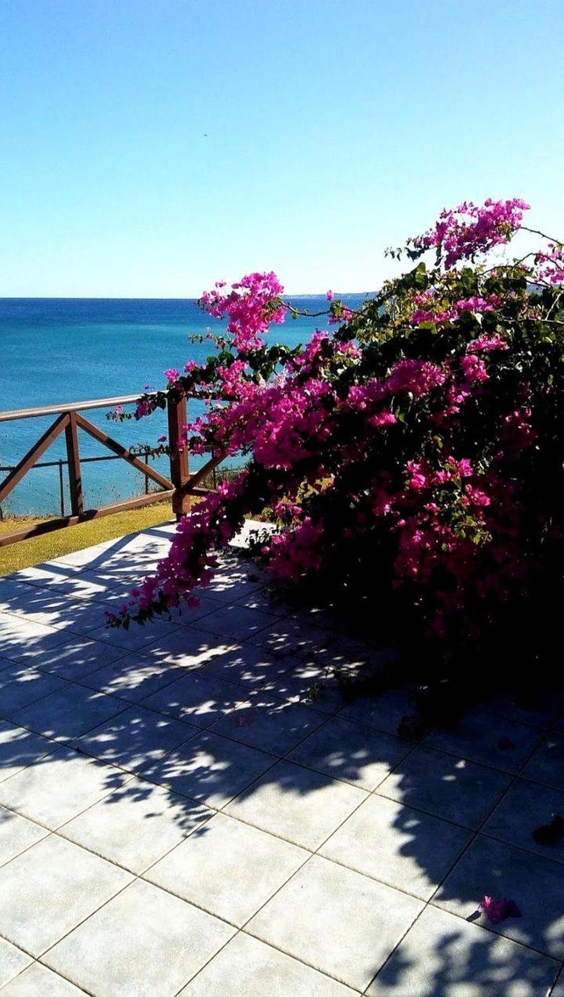 Panorama Beach チラニ エクステリア 写真