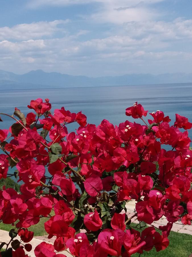 Panorama Beach チラニ エクステリア 写真